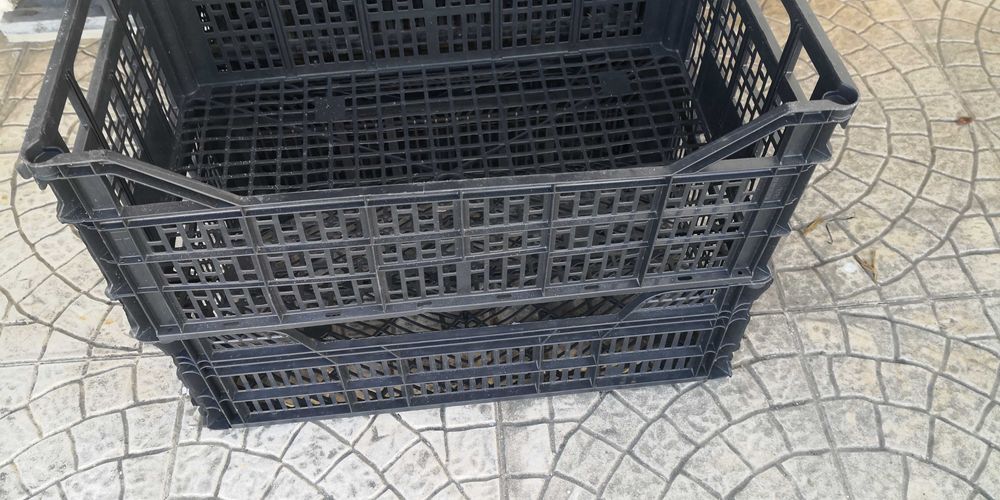 10 caixotes 50 cm X 30 cm X 19 cm