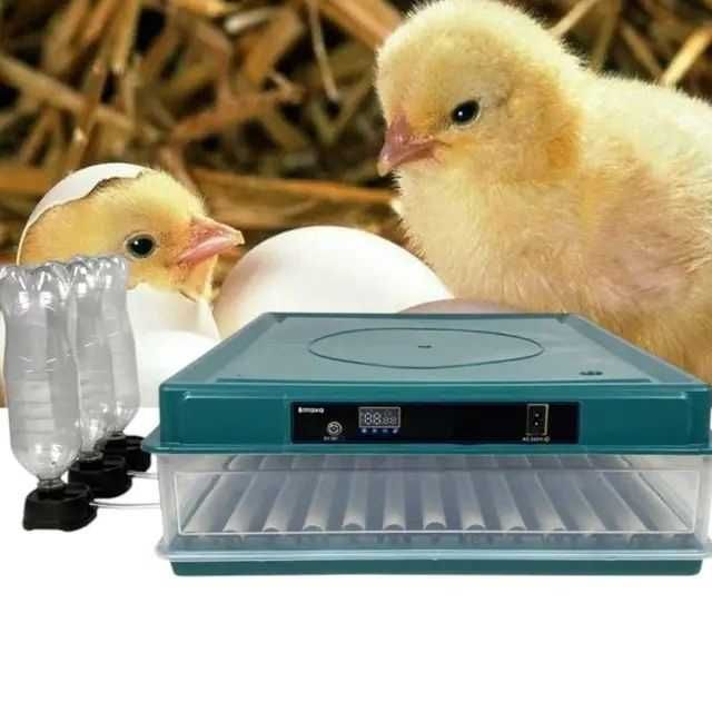 Инкубатор автоматический теплушка інкубатор автоматичний птаха овоскоп