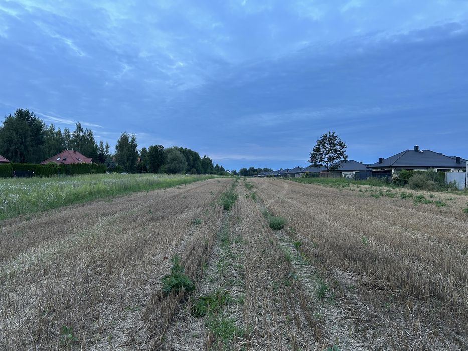Działka budowlana Borowa Góra 800 m² - Widok 5