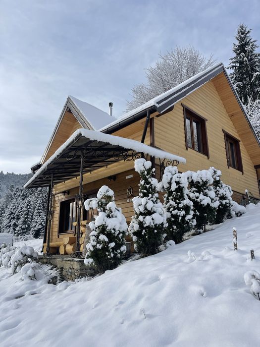 Здаю котедж, вул. Миру 42, на горі під лісом