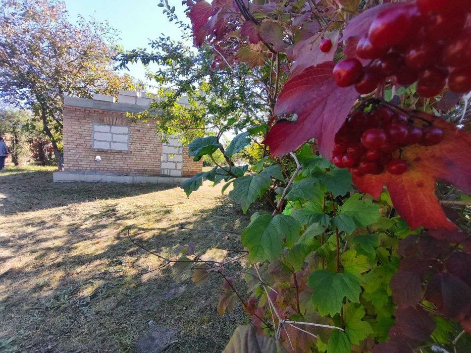 Акція! Земельна ділянка в СТ «Садко», с. Андріївка, Бучанський р-н