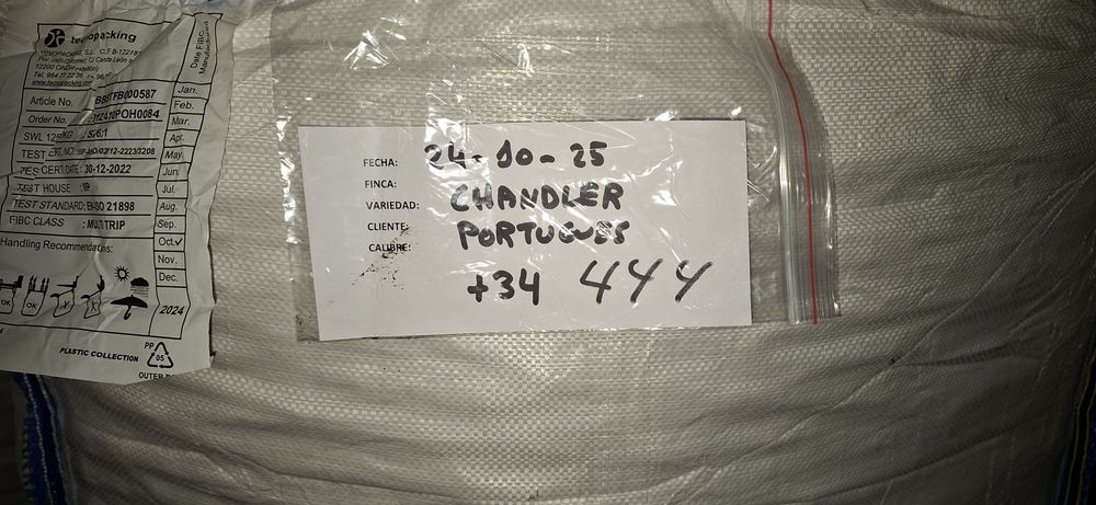 Nozes Chandler venda a granel