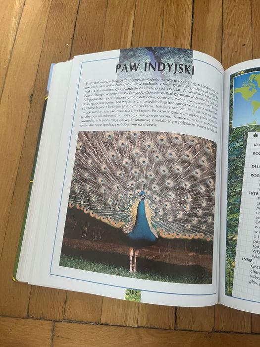 Encyklopedyczny Atlas Zwierząt