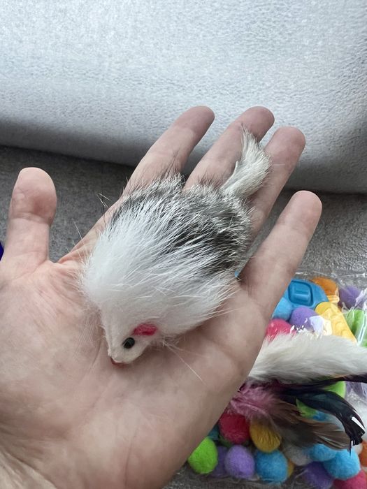 Тунель для котів або собак. Якщо олх-доставка, то +25грн комісії олх