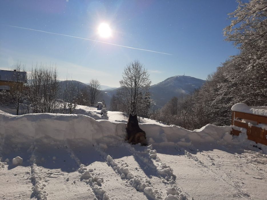 Domki, domek,noclegi z banią, jacuzzi do wynajęcia w Szczyrku .Walówka