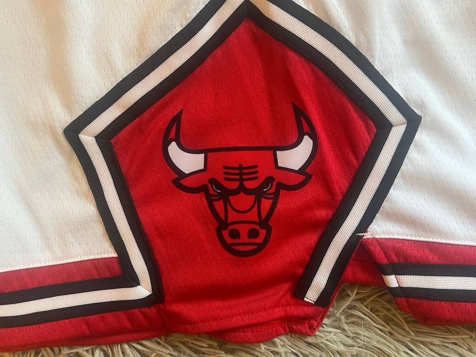 Шорти Nike Chicago Bulls оригінал
