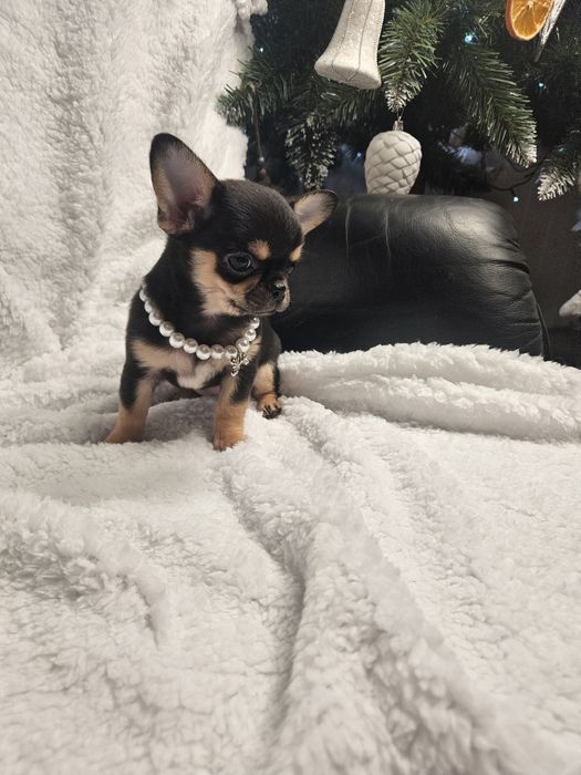 Prześliczna dziewczynka