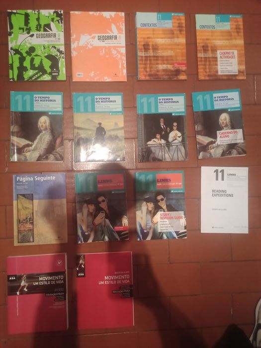 Livros escolares 11º ano 5€/cada