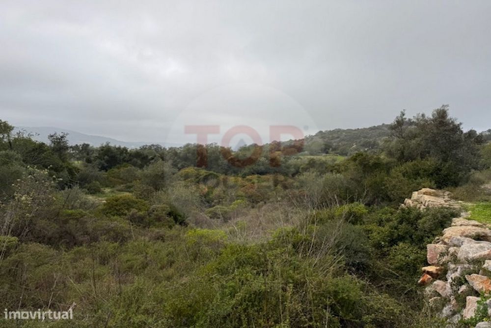 Terreno Rustico em Estoi