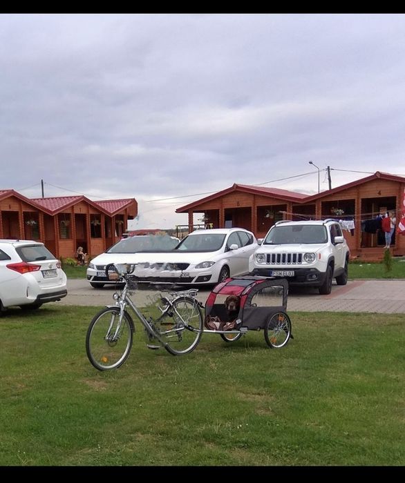 Przyczepka rowerowa dla psa