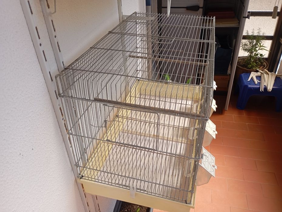 Gaiolas para aves
