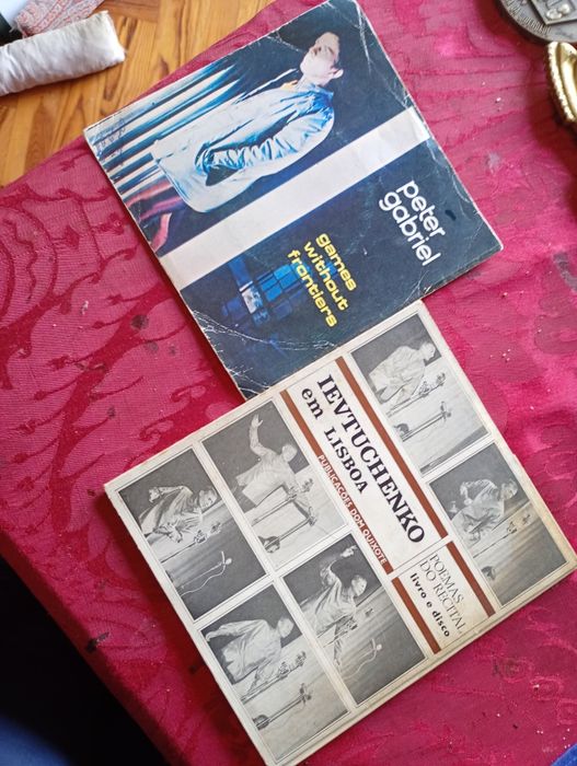 Discos vinis LPs /Amália/Carmo-Flash D.Outros-Singles-P.Grabriel/Rui V./ B.Adams/B.Ferry/LetrchuenkoOutros Antigos Desde 1E-Langelot-TenentrX5EDesde1E