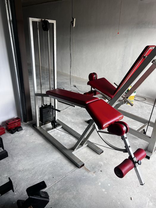 Panatta leg curl fantastic line