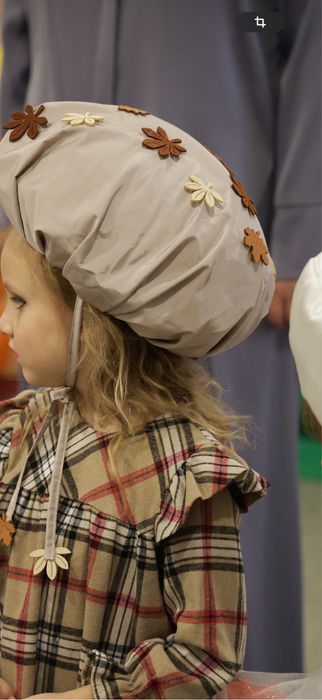 шляпа гриба(печериця )