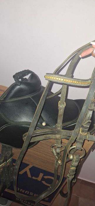 Sela para ponei com cabeçada