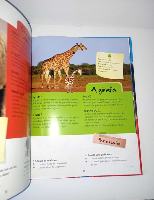 O Grande livro dos animais ( Selvagens)