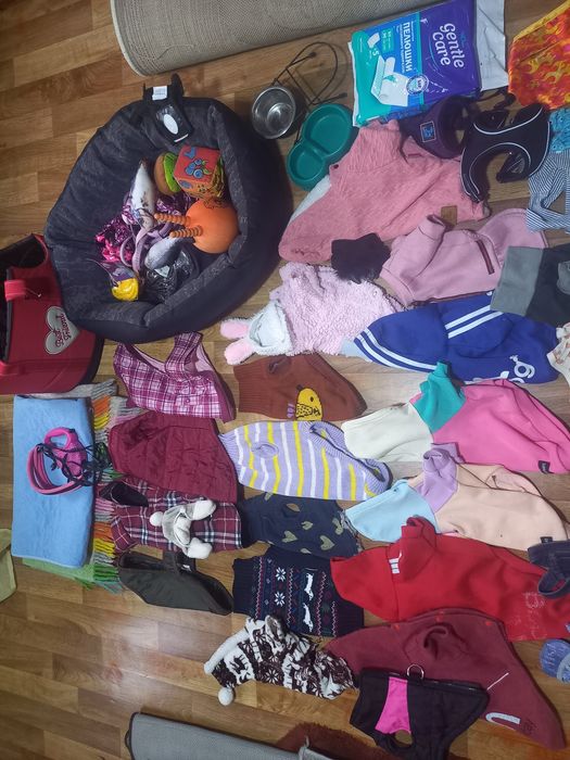 Продам одежду для собак, одяг той терьера,, чихуа, одежда для йорка