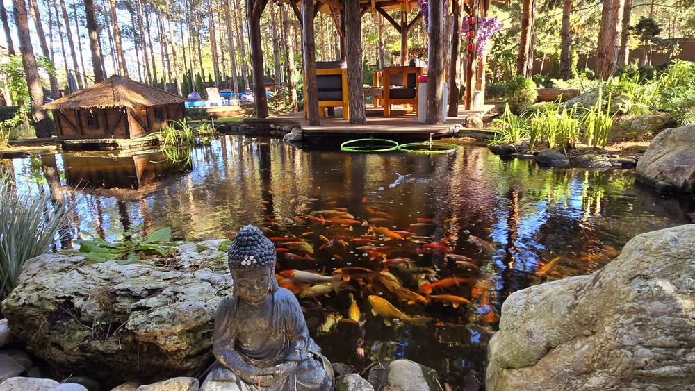 Оренда будинку подобово. Басейн. Чан  Лес  Баня  Сапы  Каякі