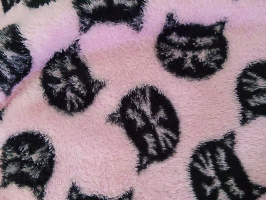 Piżama spodnie kotki polar 152