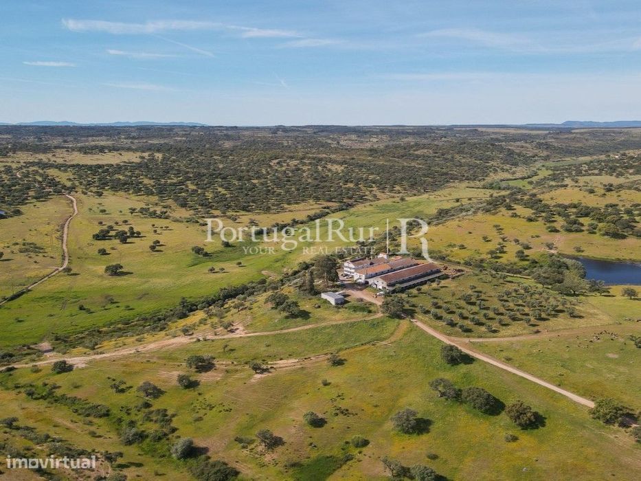 Herdade com 380ha próximo de Castelo Branco