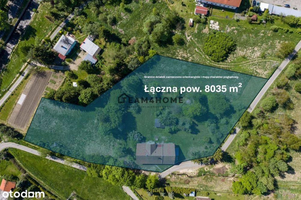 Posiadłość 392 m² + 8035 m² ziemi - Mysłakowice