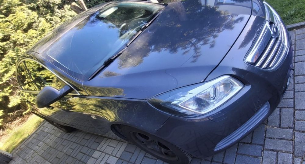 Opel Insignia 2.0cdti krajowy