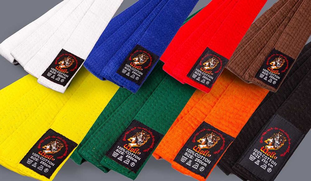 Кімоно Дзюдо Джиу джитсу Айкідо біле синє дитяче Wolf Matsa самовивіз