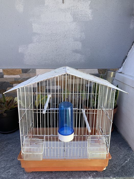 Gaiolas completas para pàssaros impecaveis