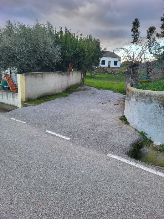 Terreno em cafede castelo branco
