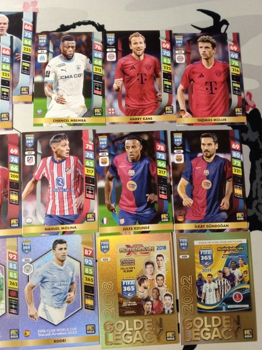 Karty piłkarskie FIFA 365 r2025