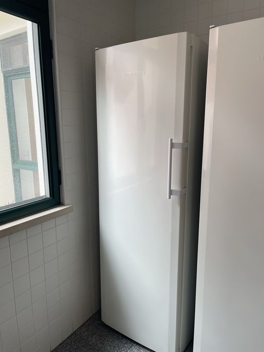 Arca vertical Liebherr- 186cm