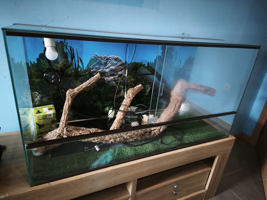 Vendo terrário para lagartos