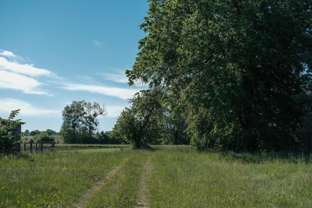 Działka BUDOWLANA Tyniewicze małe Narew dom siedlisko rekreacja