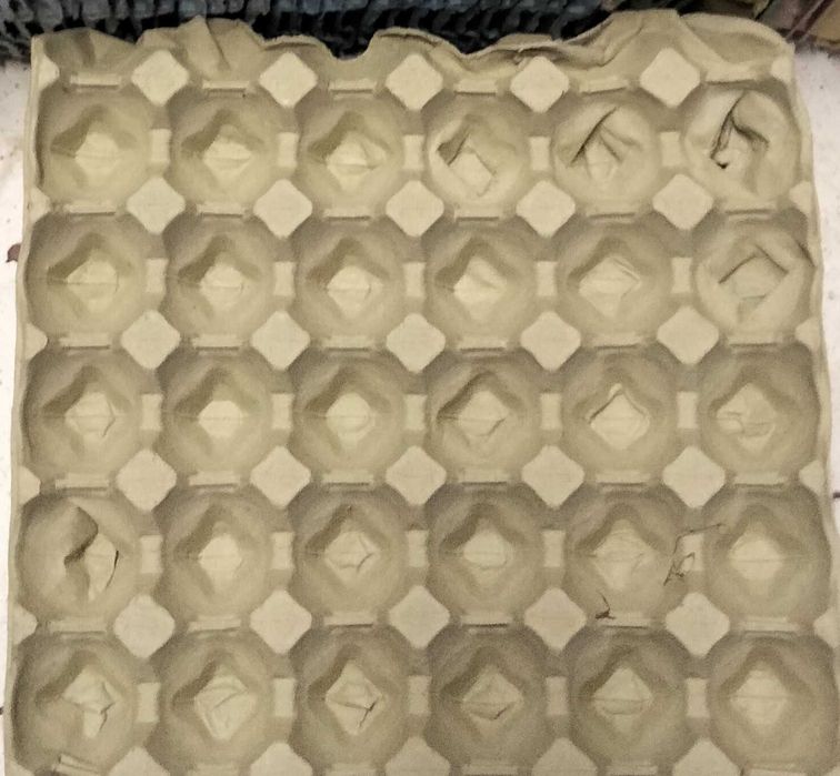 Wytłaczanki na jajka 800 sztuk