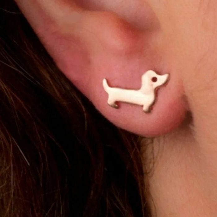 Brincos Cães de Raça.