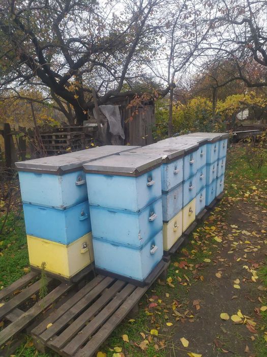 Улики с пенопласта