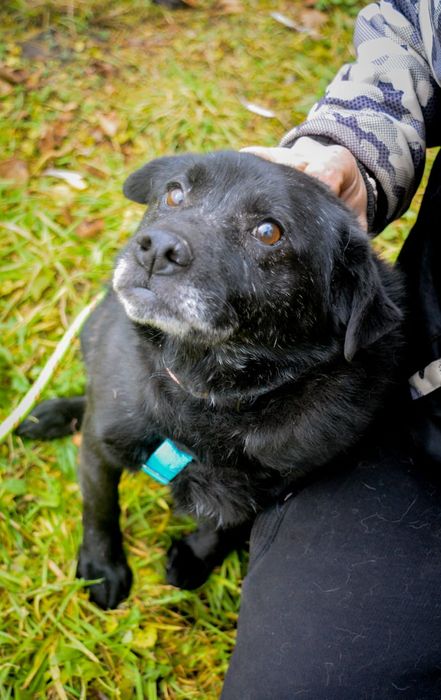 Pożar zabrał mi wszystko