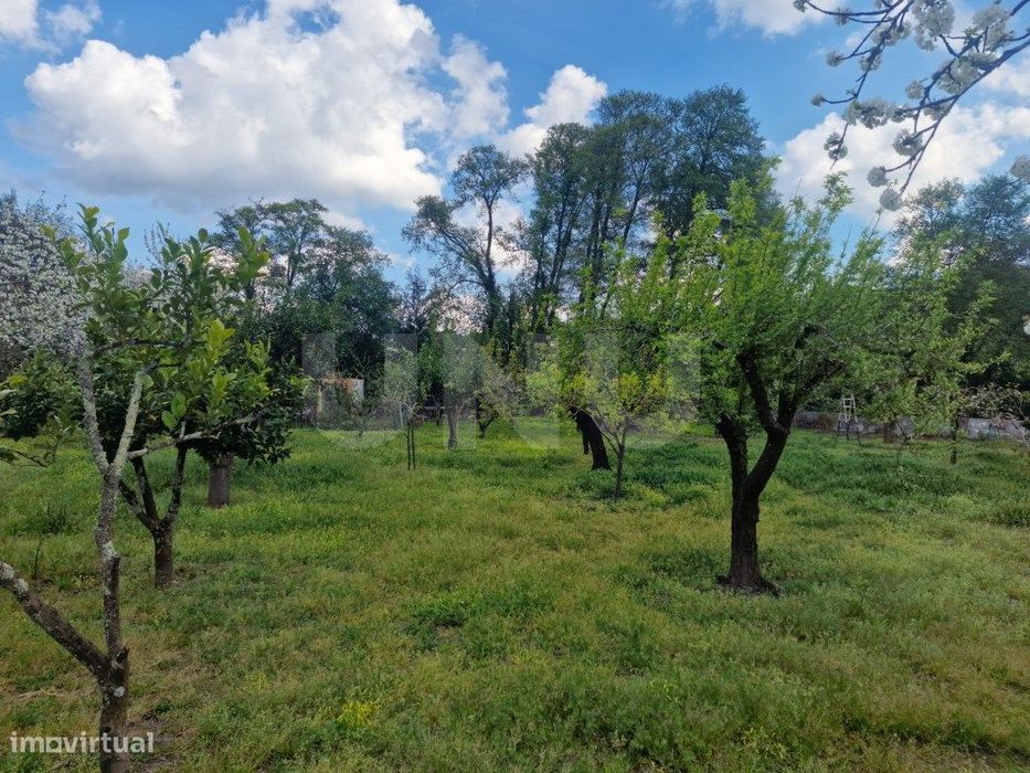 Quinta - Reguengo e São Julião - Um refúgio entre o campo e a serra!