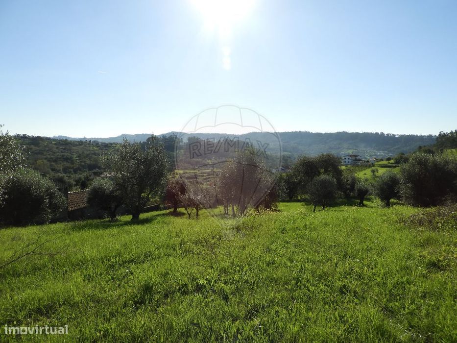 Terreno  para venda — Pombal, Leiria