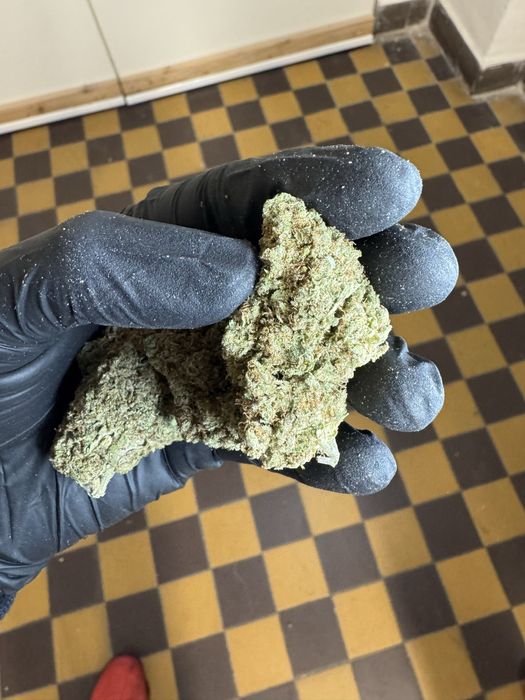 Susz CBD indoor Lava Cake 1kg