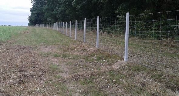 Ogrodzenie siatka leśna betonowe słupki