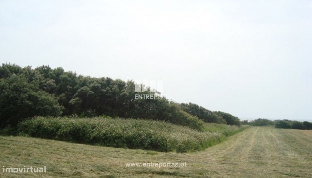 Terreno Agrícola - Afife — Afife, Viana do Castelo