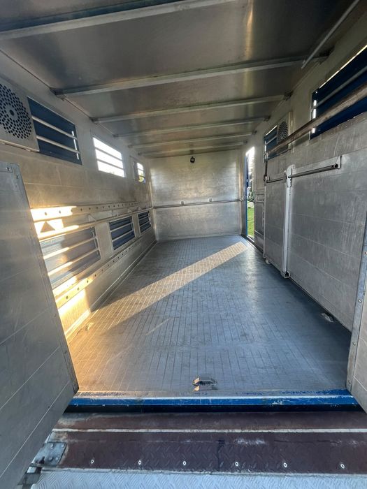 Iveco Dayli do transportu zwierząt żywca