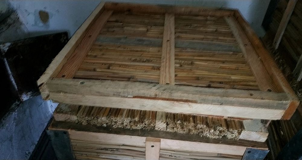 Корпуси з камишa.