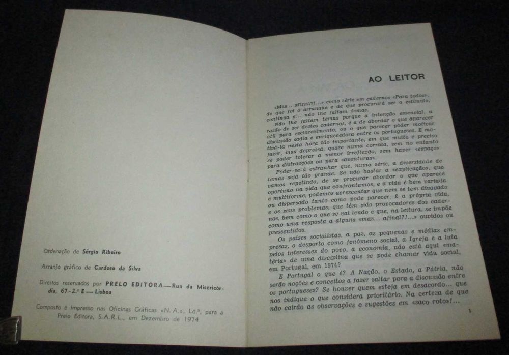 Livro Mas Afinal?! A nação o que é e quem é pela nação? Sérgio Ribeiro