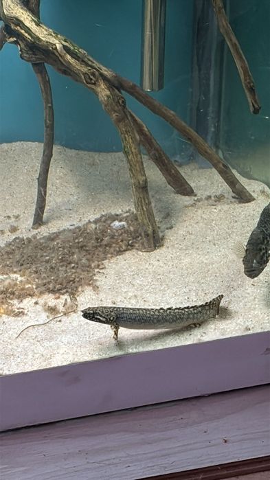 Vendo material de aquário