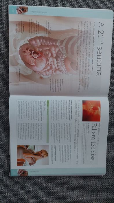 A sua gravidez dia a dia