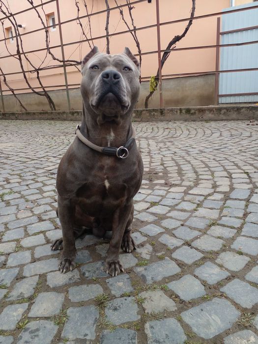 Вязка Стафф вязка