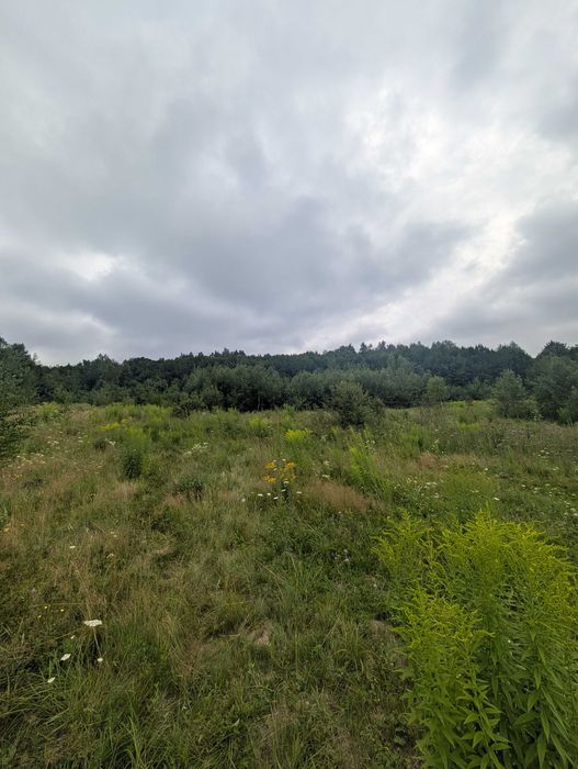 Продається земельна ділянка, площа 1 гектар _RR