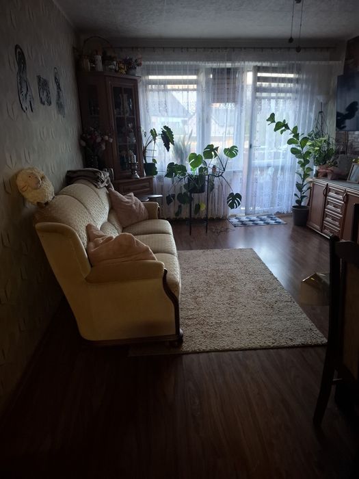 Mieszkanie – Radzyń Chełmiński - Więcej